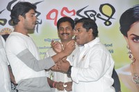 Brother of Bommali Success Meet